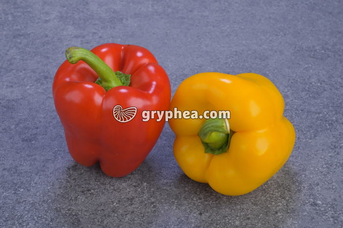 Poivrons rouge et jaune - gryphea.org